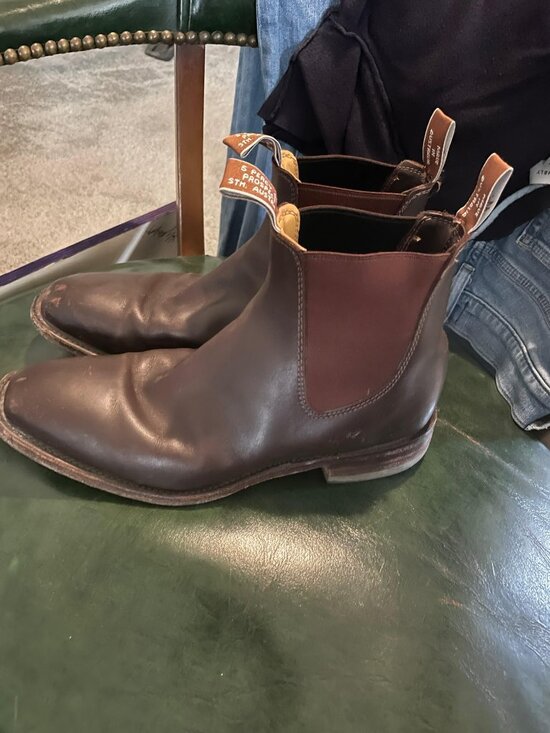 RM Williams Chelsea Boot 9 main image 8